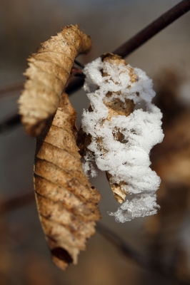 Herbst Winter