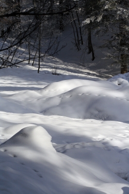 Spuren im Schnee..