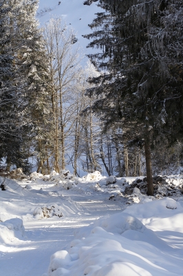 Winterwunderwelt Winterwunderwelt