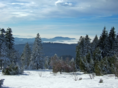Winterlicher Nordschwarzwald_2