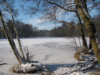 Traumhaft, die Kombination von Sonne & Schnee