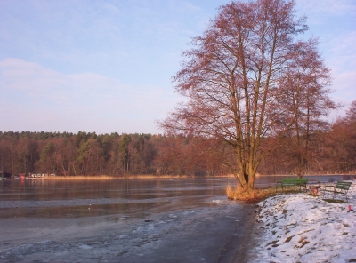 Winter am Stechlinsee!