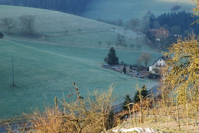 Schwarzwald Urlaub