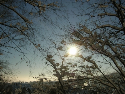 Winterimpression1