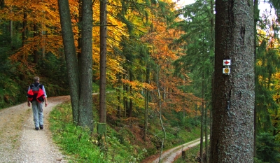 Wanderer im Herbstwald_2