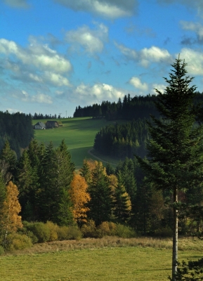 Herbst im Mittleren Schwarzwald