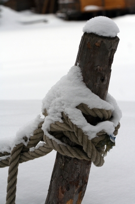 Knoten im Schnee