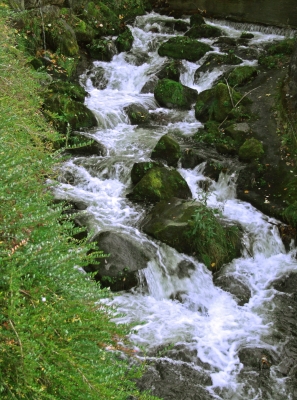 Gutach-Wildwasser in Triberg