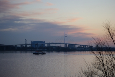 Rügenbrücke mit Pylon und Schiff