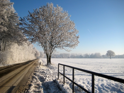 Landstraße im Winter