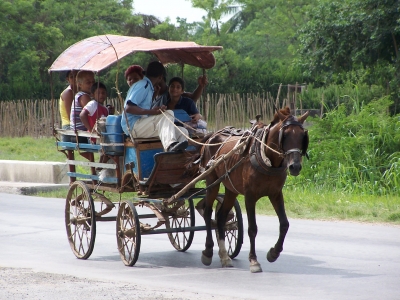 Pferdebus in Kuba