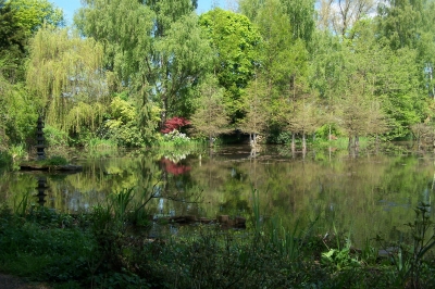 Waldweiher