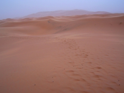 Spuren im Sandsturm