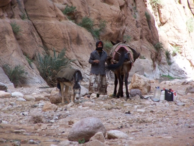 In der Tinerhir-Schlucht in Marokko