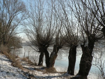Winter am alten Neckar