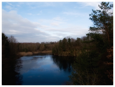 grüner See Nr.4