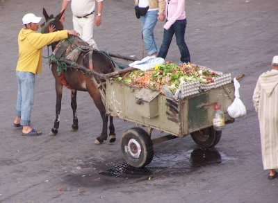 Marrakesch Djemaa: Müllabfuhr