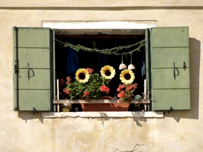 Hab Sonne(nblumen) im Fenster