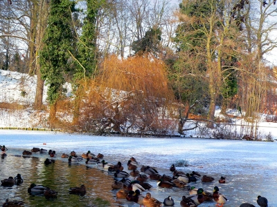 Winter aufnahmen aus Wolfenbüttel7