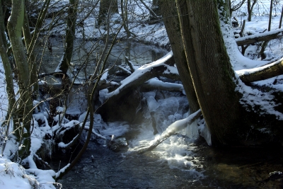 Bad Urach - Wasserfall 3