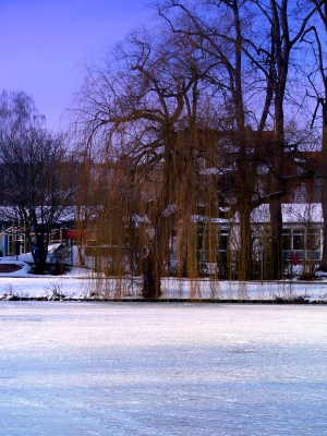 Winter aufnahmen aus Wolfenbüttel 12