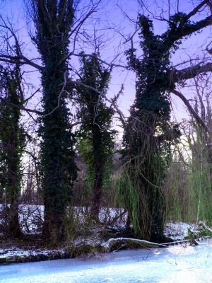 Winter aufnahmen aus Wolfenbüttel 14