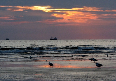 Sonnenuntergang auf Fano