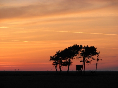 Abend am Bodden