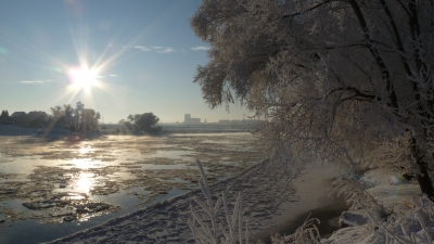 Treibeis auf der Elbe