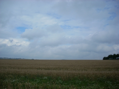 Landschaft