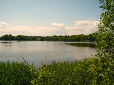 Der Kölpinsee 2