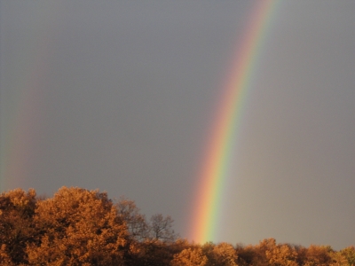 Regenbogen