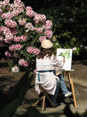 Entspannung im Park