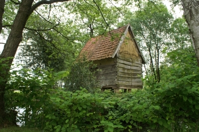 Haus im Grünen