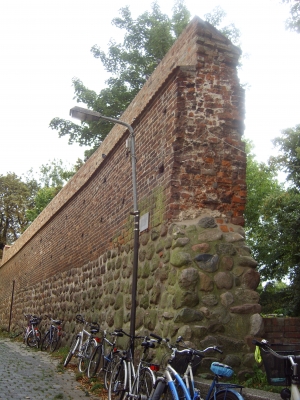 Die 7,22m hohe Alte Stadtmauer in Rostock
