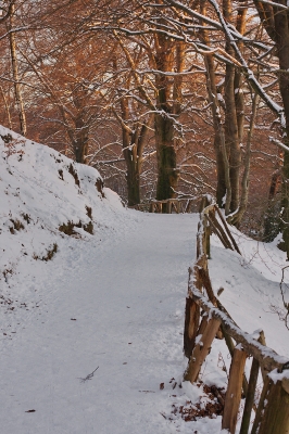 Winter im Broichbachtal 13