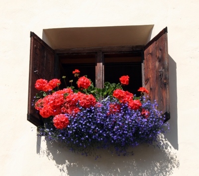 Blumenfenster in Guarda