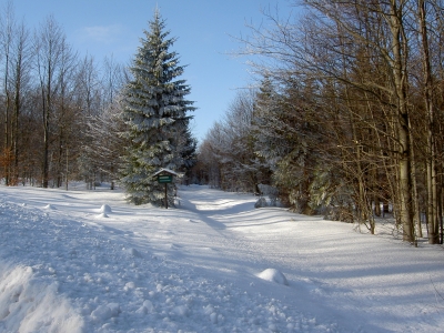 Osterzgebirge im Winter
