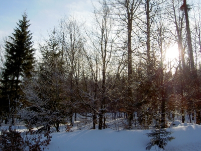 Osterzgebirge im Winter 2