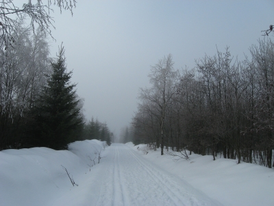 Osterzgebirge im Winter 3