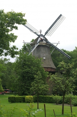Mühle im Grünen