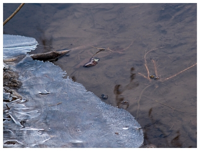 Immer noch Eis auf dem Fluss