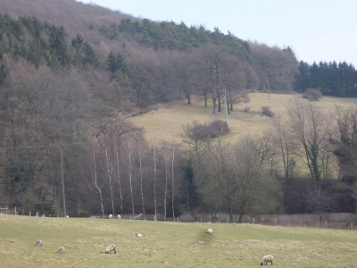 Ein Stück Sauerland