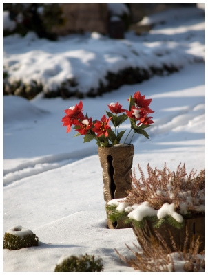 Friedhofsblumen