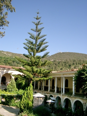 Klostergarten auf Zypern