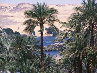 Am Nil bei Assuan