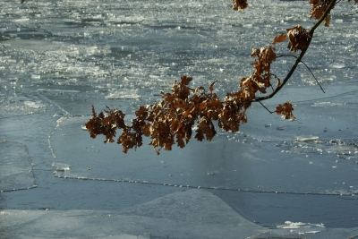 am alten Neckar 10