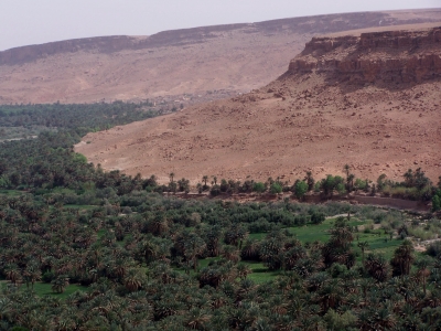 Flussoase in Marokko