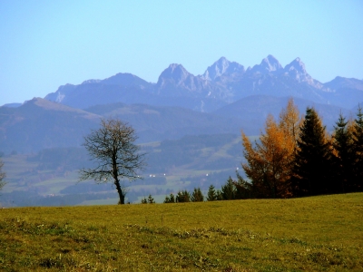 Herbsttag