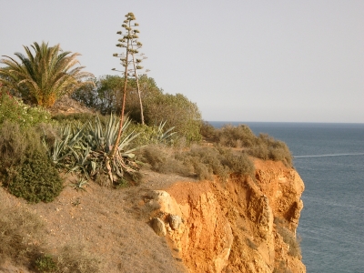 Ausblick vom Hotel oberhalb der Klippen von Lagos/Algarve
